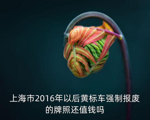 上海市黃標車報廢，上海黃標車報廢到哪里