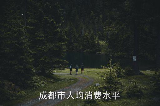 成都市人均消費水平