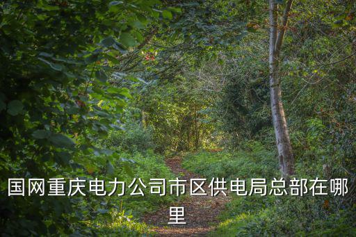 國網(wǎng)重慶電力公司市區(qū)供電局總部在哪里