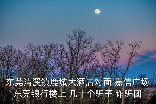 東莞清溪鎮鹿城大酒店對面 嘉信廣場東莞銀行樓上 幾十個騙子 詐騙團