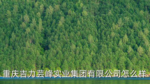 重慶吉力蕓峰實業(yè)集團有限公司怎么樣