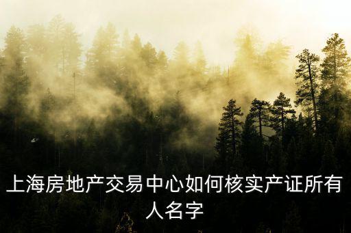 上海房地產交易中心如何核實產證所有人名字