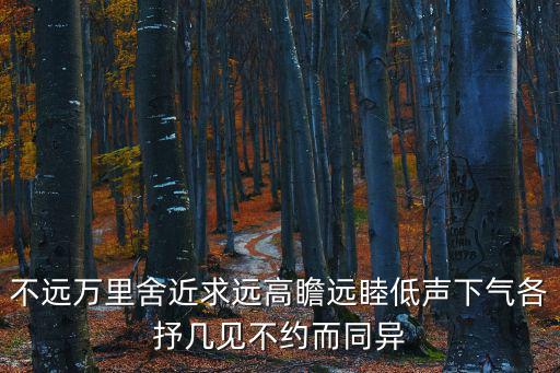 不遠萬里舍近求遠高瞻遠睦低聲下氣各抒幾見不約而同異