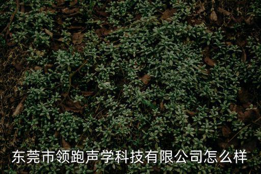 東莞市領(lǐng)跑聲學(xué)科技有限公司怎么樣