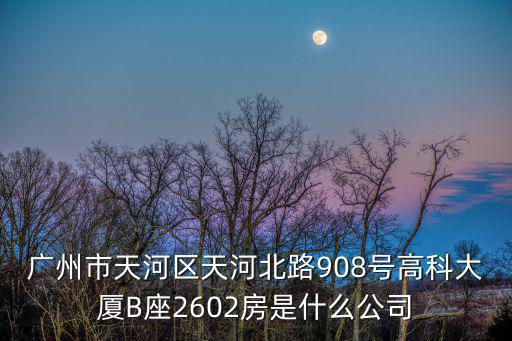 廣州市天河區(qū)天河北路908號(hào)高科大廈B座2602房是什么公司