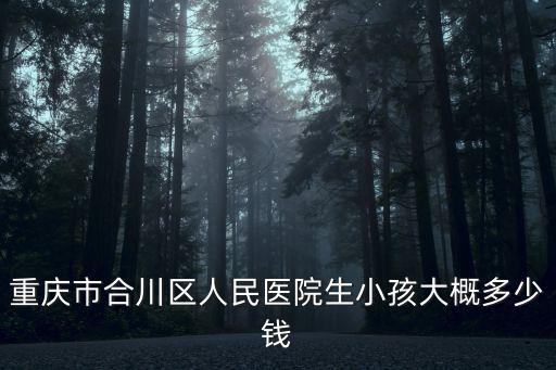 重慶市合川區(qū)人民醫(yī)院生小孩大概多少錢
