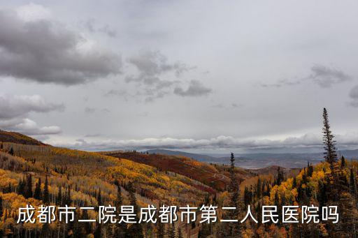 成都市二院是成都市第二人民醫(yī)院嗎