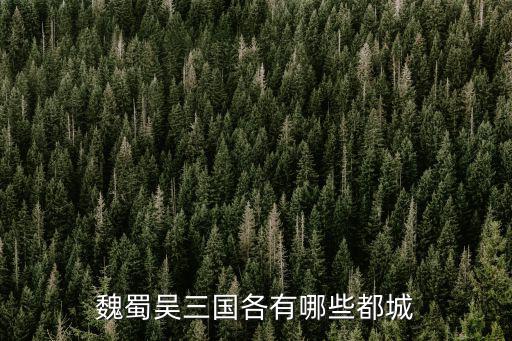 魏蜀吳三國各有哪些都城