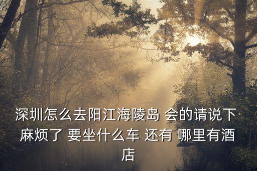 深圳怎么去陽江海陵島 會的請說下 麻煩了 要坐什么車 還有 哪里有酒店