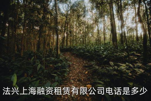 法興上海融資租賃有限公司電話是多少