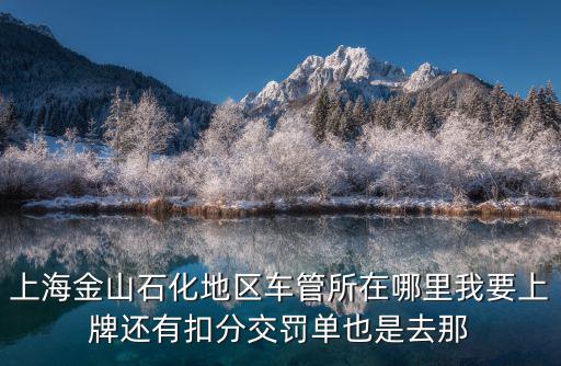 上海金山石化地區車管所在哪里我要上牌還有扣分交罰單也是去那