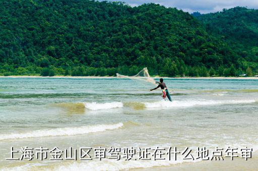 上海市金山區(qū)車輛管理所，上海金山石化地區(qū)車管所在哪里我要上牌還有扣分交罰單也是去那