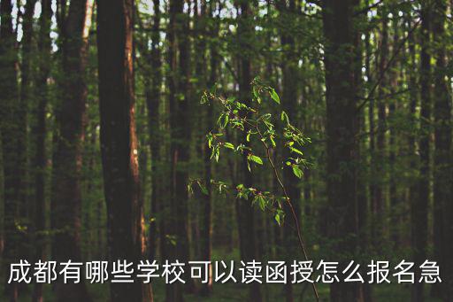 成都有哪些學校可以讀函授怎么報名急