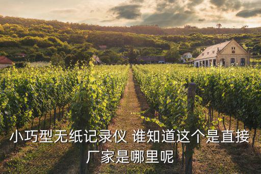 小巧型無紙記錄儀 誰知道這個是直接廠家是哪里呢