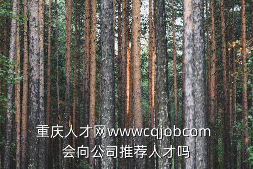 重慶市人才管理系統，重慶人才網怎么打不開了
