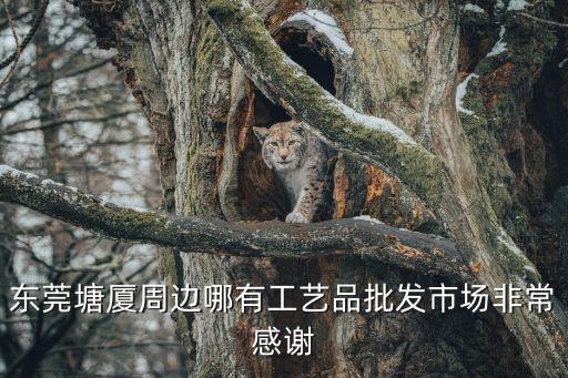 東莞塘廈周邊哪有工藝品批發市場非常感謝