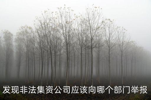 成都市非法集資舉報，發現非法集資公司應該向哪個部門舉報