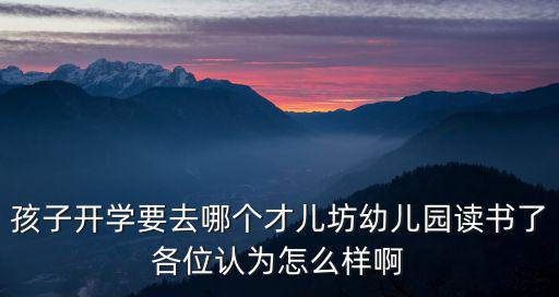 孩子開學要去哪個才兒坊幼兒園讀書了各位認為怎么樣啊