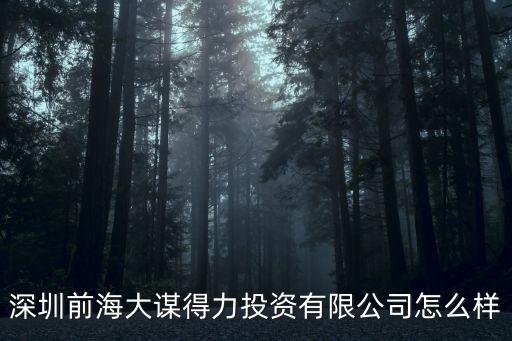 深圳前海大謀得力投資有限公司怎么樣