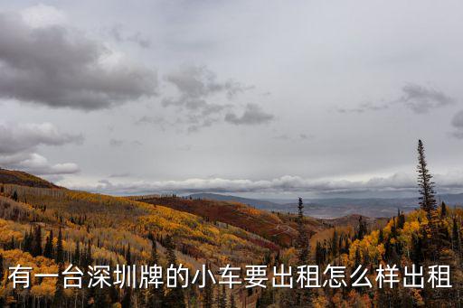 有一臺深圳牌的小車要出租怎么樣出租