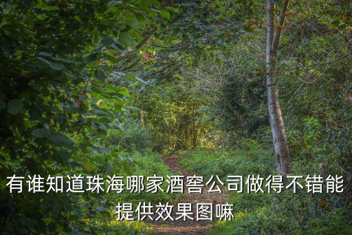 有誰知道珠海哪家酒窖公司做得不錯能提供效果圖嘛
