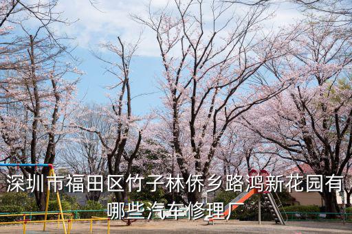 深圳市福田區(qū)竹子林僑鄉(xiāng)路鴻新花園有哪些汽車修理廠