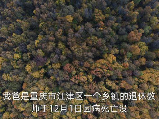 我爸是重慶市江津區一個鄉鎮的退休教師于12月1日因病死亡沒