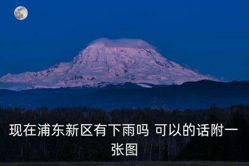 現在浦東新區有下雨嗎 可以的話附一張圖