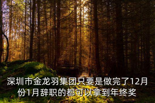 深圳市金龍羽集團只要是做完了12月份1月辭職的都可以拿到年終獎