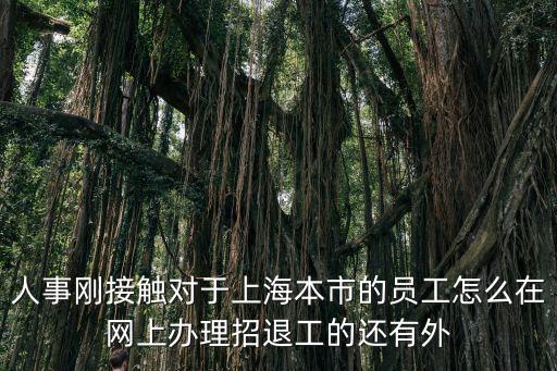 人事剛接觸對于上海本市的員工怎么在網上辦理招退工的還有外