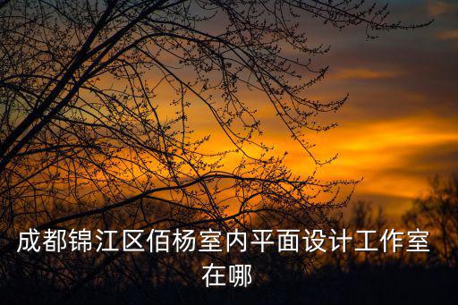 成都錦江區(qū)佰楊室內(nèi)平面設(shè)計(jì)工作室 在哪