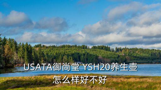 USATA御尚堂 YSH20養(yǎng)生壺怎么樣好不好