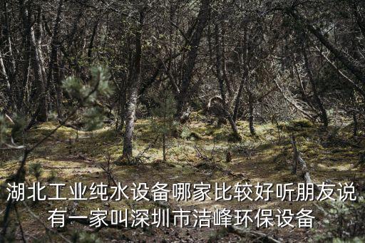 湖北工業(yè)純水設(shè)備哪家比較好聽(tīng)朋友說(shuō)有一家叫深圳市潔峰環(huán)保設(shè)備