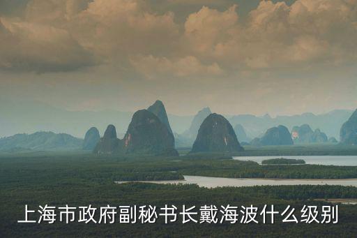 上海市政府副秘書長戴海波什么級別