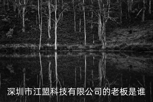 深圳市江盟科技有限公司的老板是誰
