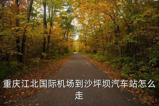 重慶江北國(guó)際機(jī)場(chǎng)到沙坪壩汽車站怎么走