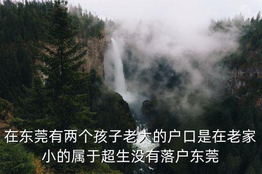 在東莞有兩個孩子老大的戶口是在老家小的屬于超生沒有落戶東莞