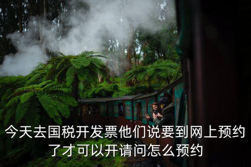今天去國稅開發票他們說要到網上預約了才可以開請問怎么預約