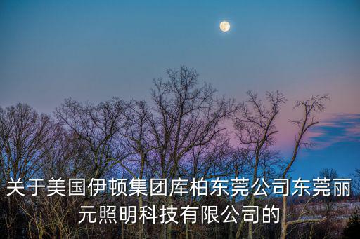 關于美國伊頓集團庫柏東莞公司東莞麗元照明科技有限公司的