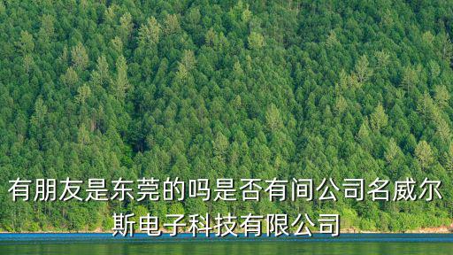 有朋友是東莞的嗎是否有間公司名威爾斯電子科技有限公司