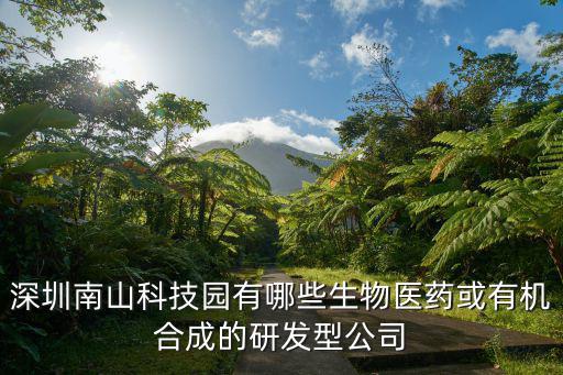 深圳南山科技園有哪些生物醫藥或有機合成的研發型公司