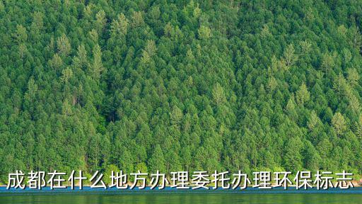 成都市中科能源環保，有沒有從事節能咨詢節能診斷節能設計項目管理合同能源管理