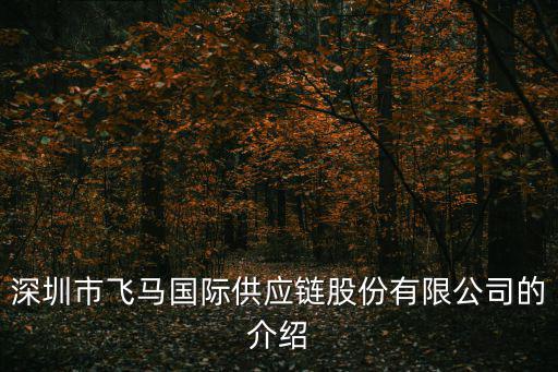 深圳市飛馬國際供應鏈股份有限公司的介紹
