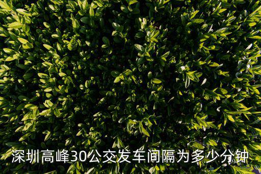 深圳高峰30公交發車間隔為多少分鐘
