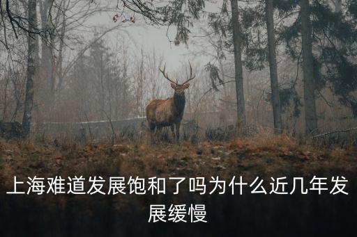 上海難道發展飽和了嗎為什么近幾年發展緩慢