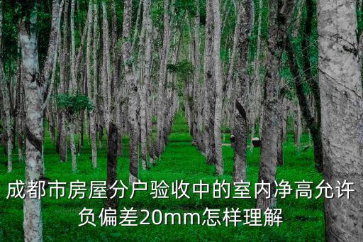 成都市房屋分戶驗收中的室內凈高允許負偏差20mm怎樣理解