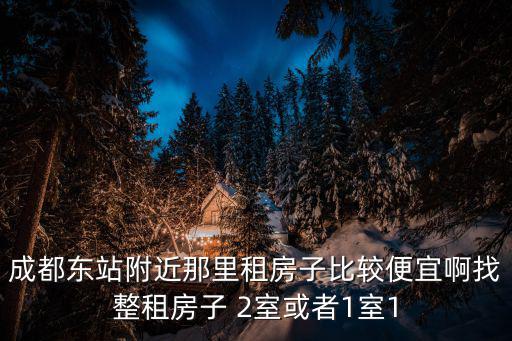 成都東站附近那里租房子比較便宜啊找整租房子 2室或者1室1
