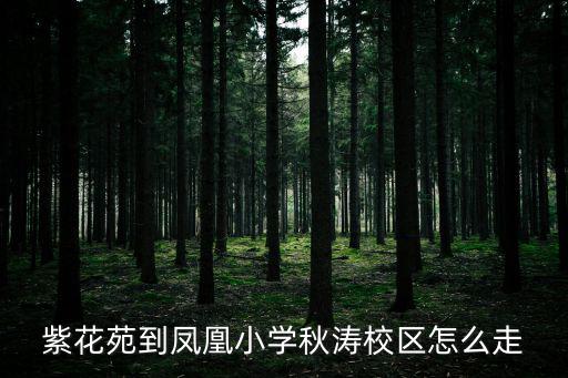 紫花苑到鳳凰小學秋濤校區怎么走