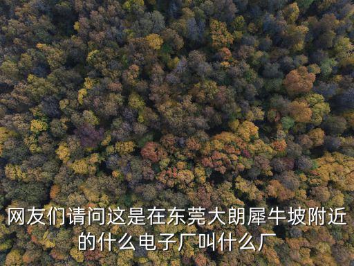 東莞希普利歐電子有限公司，網友們請問這是在東莞大朗犀牛坡附近的什么電子廠叫什么廠