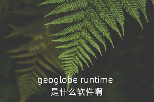 geoglobe runtime 是什么軟件啊